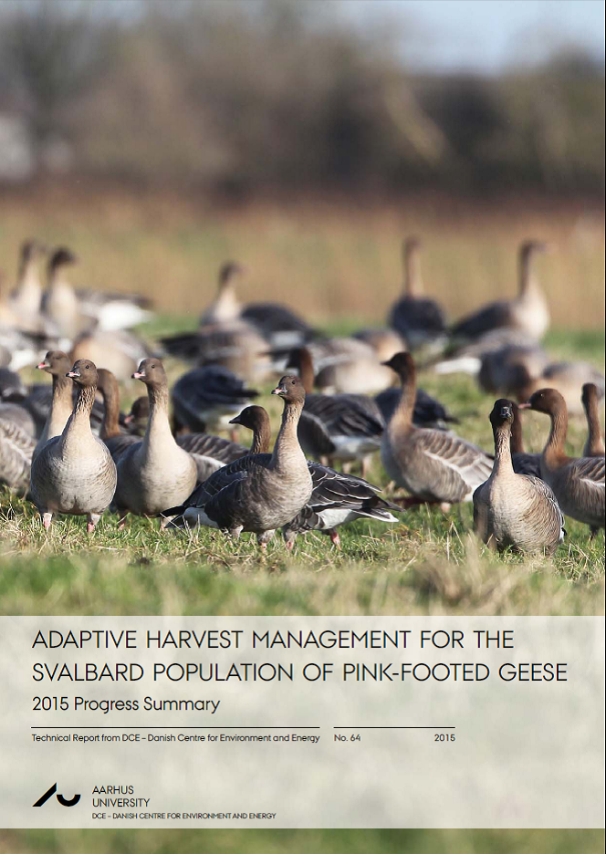 Cover Pink-footed Goose Adaptive Harvest Management Report 2015