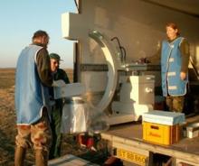 X-ray machine to monitor crippling in pink-footed geese